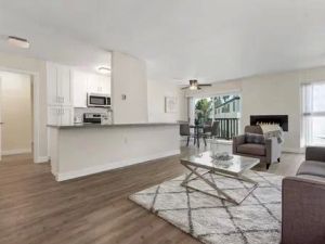 Find the Best Pet-Friendly Apartments for Rent Near Culver City