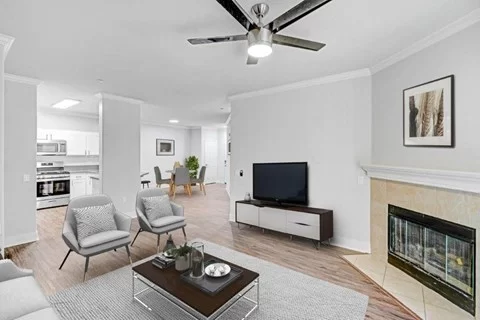 Discover Luxury Homes for Rent Near Hollywood – Your Guide to High-End Living
