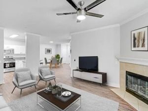 Discover Luxury Homes for Rent Near Hollywood – Your Guide to High-End Living